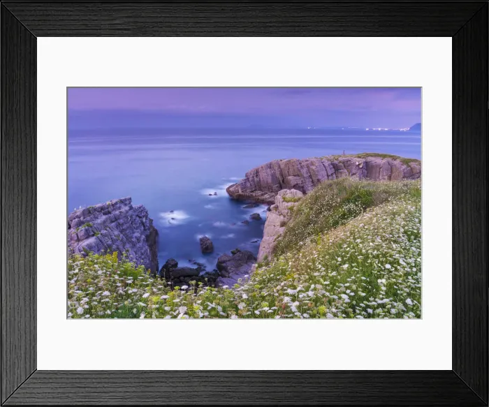 Framed Print : Spain, Cantabria, Castro-Urdiales, cove with wild flowers Framed Print : Spain, Cantabria, Castro-Urdiales, cove with wild flowers