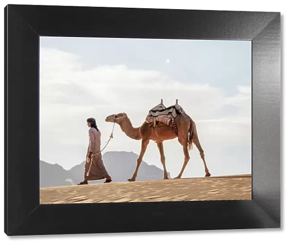 Bedouin walking with his camel, Wadi Rum, Aqaba Governorate, Jordan (MR)