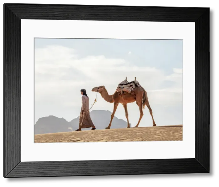Framed Print : Bedouin walking with his camel, Wadi Rum, Aqaba Governorate, Jordan (MR) Framed Print : Bedouin walking with his camel, Wadi Rum, Aqaba Governorate, Jordan (MR)