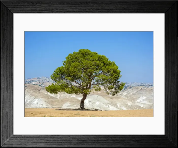 Framed Print : Palestine, West Bank, Bethlehem Governorate, Al-Ubeidiya