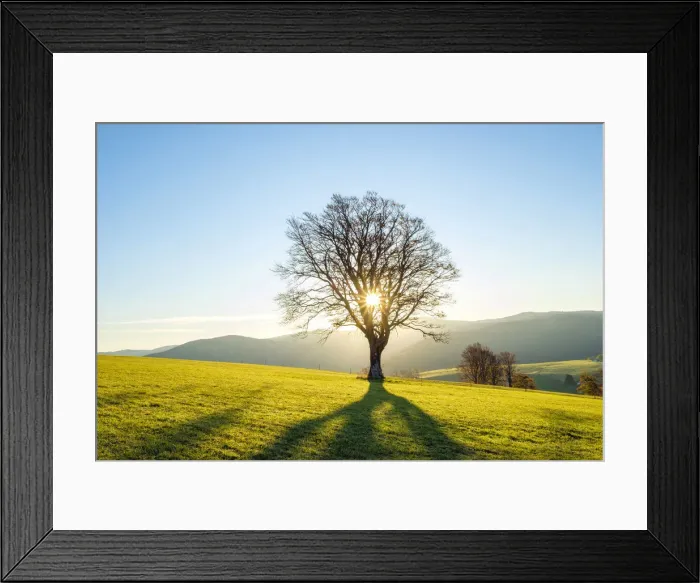 Framed Print : Autumn sunrise over a field in the village of Hofsgrund, Oberried, Baden-Worttemberg Framed Print : Autumn sunrise over a field in the village of Hofsgrund, Oberried, Baden-Worttemberg