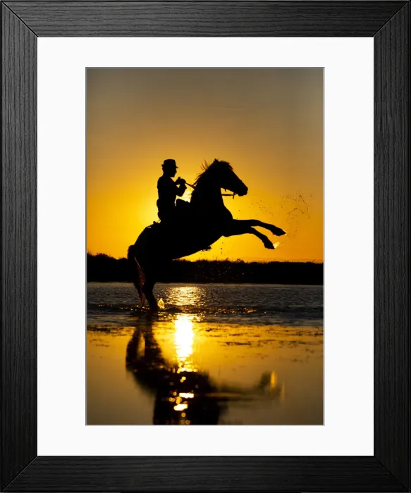 Framed Print : Silhouette of Guardian with white Camargue Horse at sunset, aigue Mortes Framed Print : Silhouette of Guardian with white Camargue Horse at sunset, aigue Mortes
