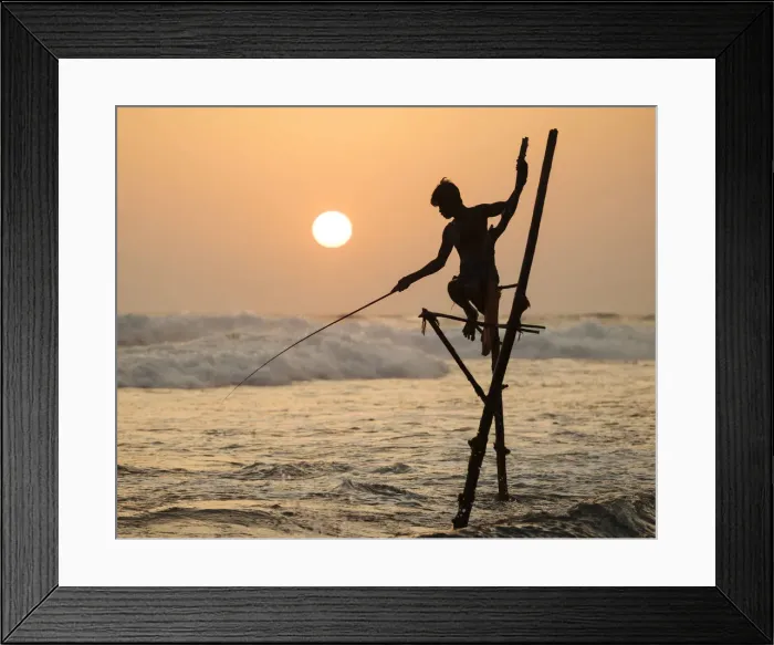 Framed Print : Stilt Fishermen at dusk, Weligama, South Coast, Sri Lanka, Asia Framed Print : Stilt Fishermen at dusk, Weligama, South Coast, Sri Lanka, Asia