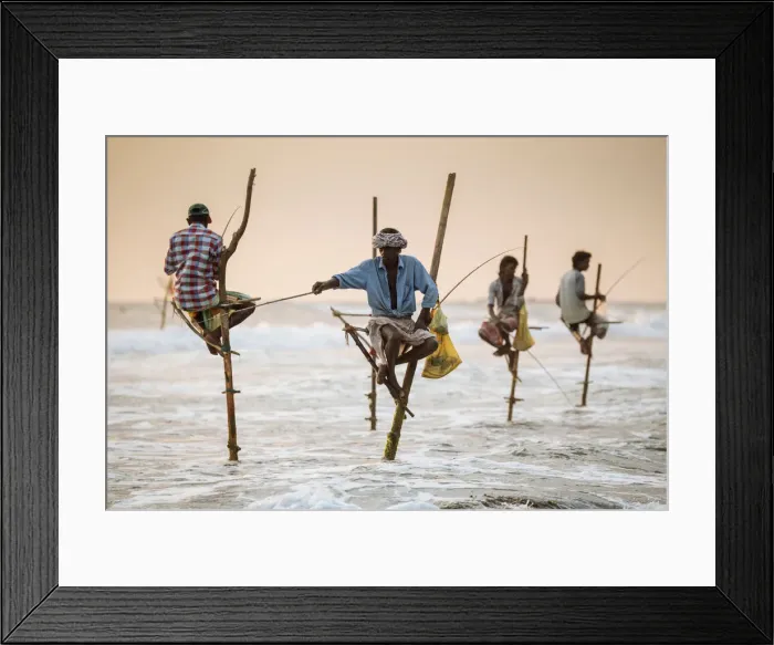 Framed Print : Stilt Fishermen at dusk, Weligama, South Coast, Sri Lanka, Asia Framed Print : Stilt Fishermen at dusk, Weligama, South Coast, Sri Lanka, Asia