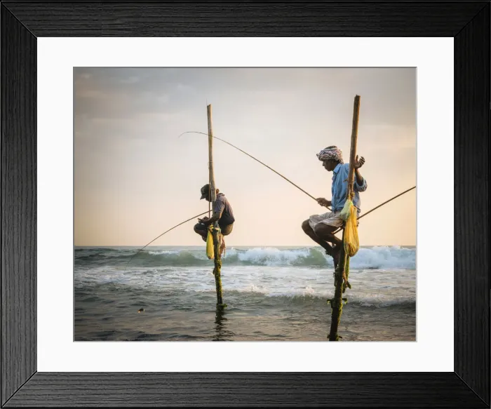 Framed Print : Stilt Fishermen at dusk, Weligama, South Coast, Sri Lanka, Asia Framed Print : Stilt Fishermen at dusk, Weligama, South Coast, Sri Lanka, Asia
