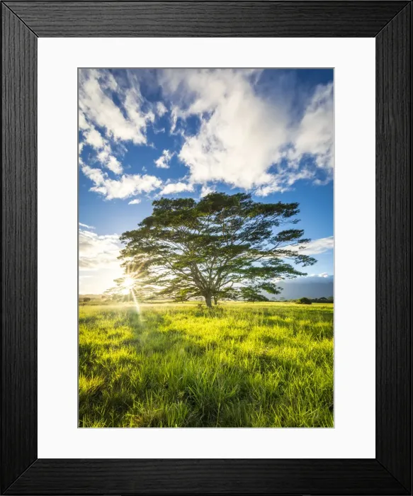 Framed Print : Wailua river State Park, Kalepa Mountain forest reserve, Kauai, Hawaii, USA Framed Print : Wailua river State Park, Kalepa Mountain forest reserve, Kauai, Hawaii, USA