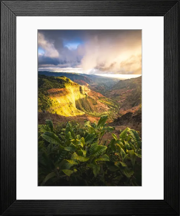 Framed Print : Waimea Canyon State Park, Kauai island, Hawaii, USA Framed Print : Waimea Canyon State Park, Kauai island, Hawaii, USA