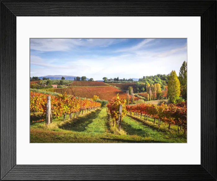 Framed Print : Montefalco Sagrantino vineyards, Montefalco, Perugia province, Umbria, Italy Framed Print : Montefalco Sagrantino vineyards, Montefalco, Perugia province, Umbria, Italy