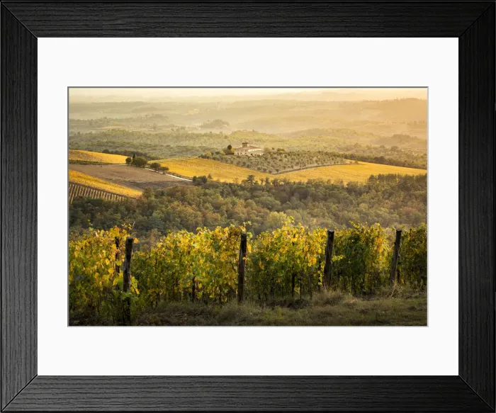 Framed Print : Vineyards during autumn near Gaiole in Chianti, Florence province, Tuscany, Italy Framed Print : Vineyards during autumn near Gaiole in Chianti, Florence province, Tuscany, Italy