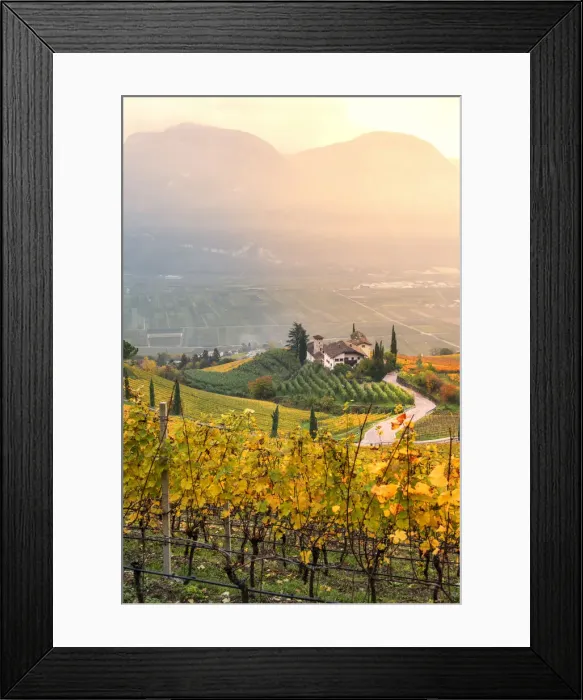 Framed Print : Cortaccia on the wine route Europe, Italy, Trentino Alto Adige, Souht Tyrol, Cortaccia Framed Print : Cortaccia on the wine route Europe, Italy, Trentino Alto Adige, Souht Tyrol, Cortaccia