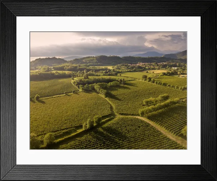 Framed Print : Aerial view of Franciacorta fields, Franciacorta, Brescia province, Lombardy district Framed Print : Aerial view of Franciacorta fields, Franciacorta, Brescia province, Lombardy district