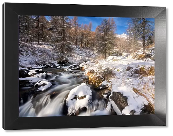 Winter season in Stelvio national park in Camonica valley, Lombardy district, Brescia