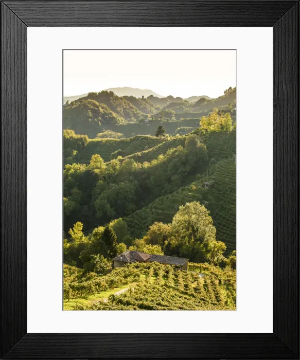 Framed Print : Italy, Veneto. Prosecco Road. Treviso district Framed Print : Italy, Veneto. Prosecco Road. Treviso district