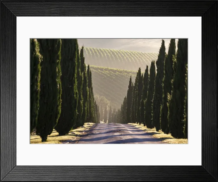 Framed Print : Italy, Marche. Macerata district. Urbisglia. Typical Marche landscape near Urbisaglia Framed Print : Italy, Marche. Macerata district. Urbisglia. Typical Marche landscape near Urbisaglia