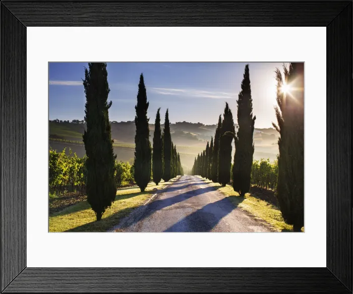 Framed Print : Italy, Marche. Macerata district. Urbisglia. Typical Marche landscape near Urbisaglia Framed Print : Italy, Marche. Macerata district. Urbisglia. Typical Marche landscape near Urbisaglia