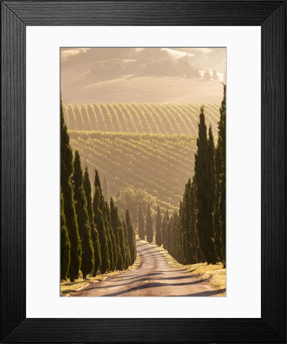 Framed Print : Italy, Marche. Macerata district. Urbisglia. Typical Marche landscape near Urbisaglia Framed Print : Italy, Marche. Macerata district. Urbisglia. Typical Marche landscape near Urbisaglia