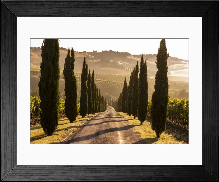 Framed Print : Italy, Marche. Macerata district. Urbisglia. Typical Marche landscape near Urbisaglia Framed Print : Italy, Marche. Macerata district. Urbisglia. Typical Marche landscape near Urbisaglia