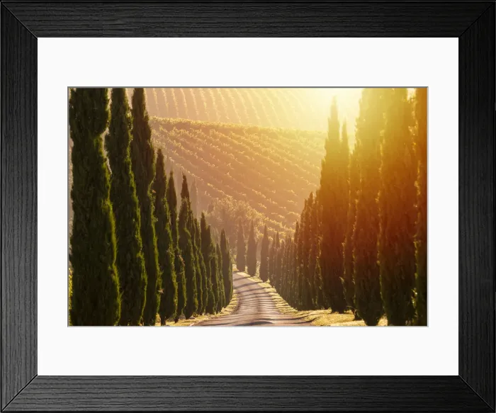 Framed Print : Italy, Marche. Macerata district. Urbisglia. Typical Marche landscape near Urbisaglia Framed Print : Italy, Marche. Macerata district. Urbisglia. Typical Marche landscape near Urbisaglia
