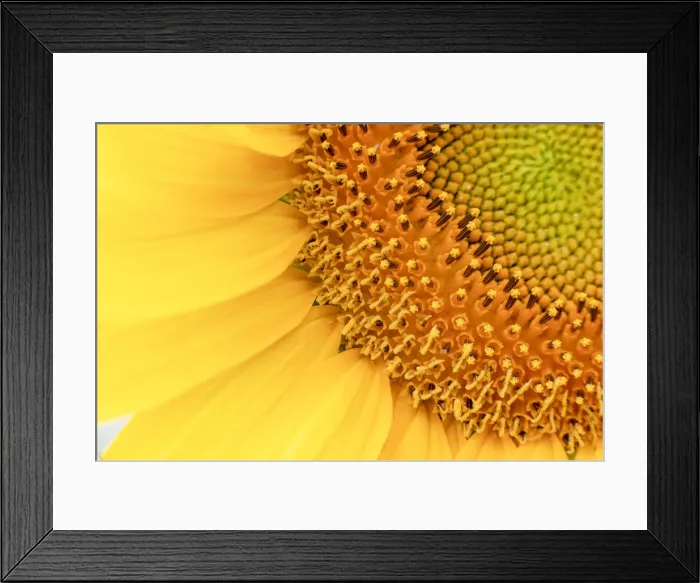 Framed Print : Italy, Marche. Macerata district. Corridonia Framed Print : Italy, Marche. Macerata district. Corridonia