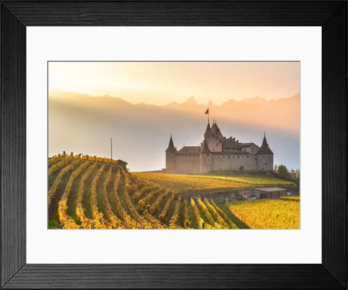 Framed Print : Aigle Castle, Aigle, Canton of Vaud, Switzerland, Europe Framed Print : Aigle Castle, Aigle, Canton of Vaud, Switzerland, Europe