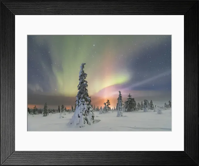 Framed Print : Northern lights at Pallas-Yllastunturi National Park, Muonio, Lapland, Finland