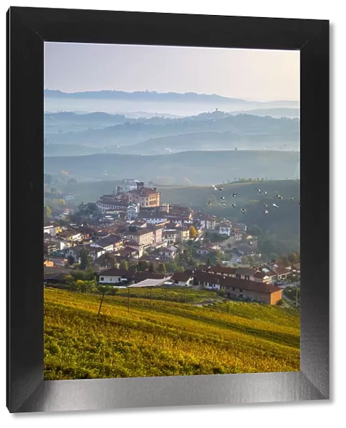 Italy, Piedmont (Piemonte), Colline del Barolo, Cuneo district, Langhe, Barolo, the