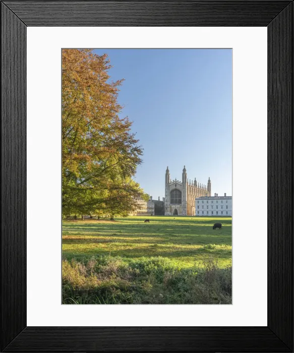 Framed Print : UK, England, Cambridge, The Backs, Kings College, Kings College Chapel Framed Print : UK, England, Cambridge, The Backs, Kings College, Kings College Chapel