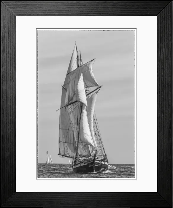Framed Print : USA, New England, Massachusetts, Cape Ann, Gloucester, Gloucester Schooner Festival Framed Print : USA, New England, Massachusetts, Cape Ann, Gloucester, Gloucester Schooner Festival