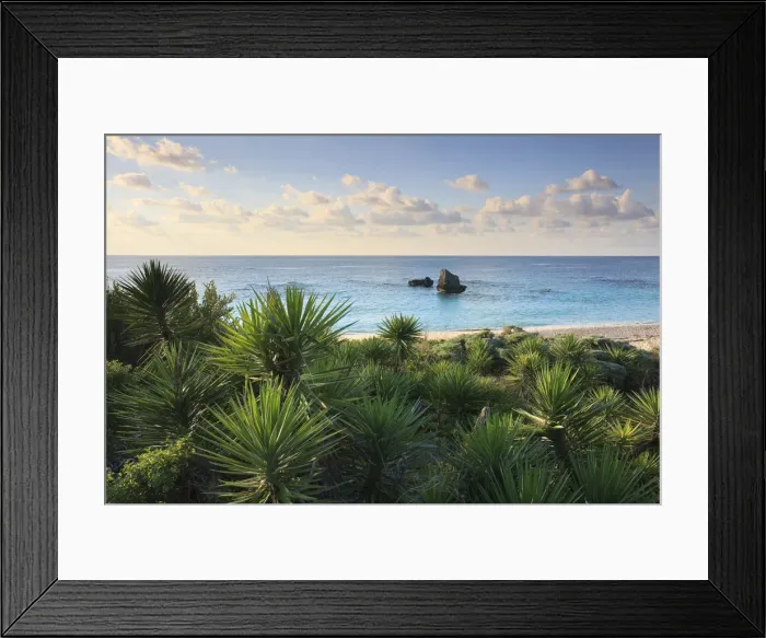 Framed Print : Bermuda, Southhampton Parish, Warwick Long bay Beach Framed Print : Bermuda, Southhampton Parish, Warwick Long bay Beach