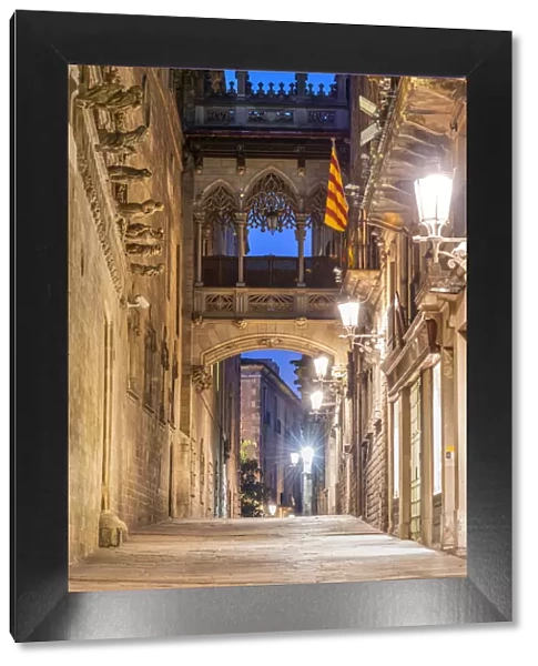 Carrer del Bisbe street, Gothic Quarter, Barcelona, Catalonia, Spain