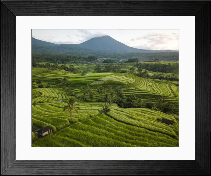 Framed Print : Aerial View of Jatiluwih Rice Terraces, Tabanan, Bali, Indonesia Framed Print : Aerial View of Jatiluwih Rice Terraces, Tabanan, Bali, Indonesia
