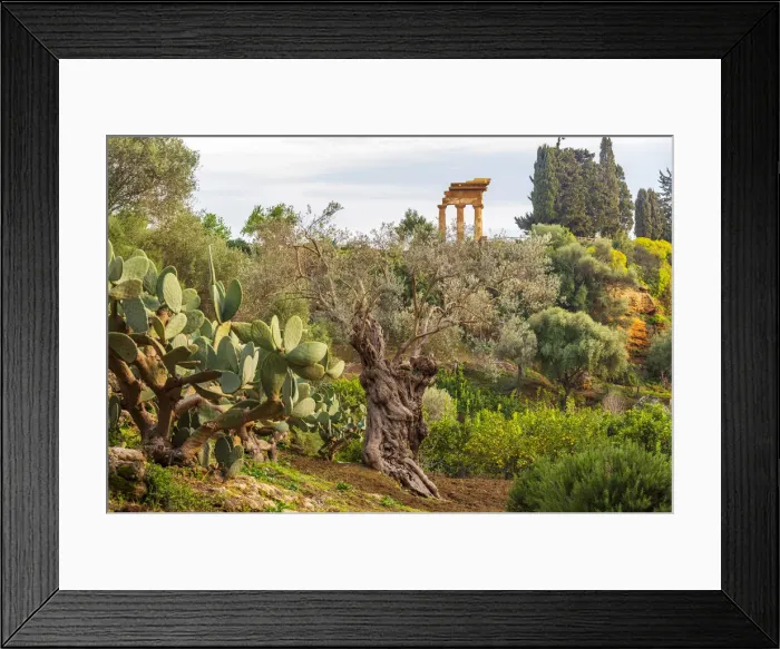 Framed Print : Europe, Italy, Sicily. Agrigento, the re-assembled remains of the temple of the Dioscuri Framed Print : Europe, Italy, Sicily. Agrigento, the re-assembled remains of the temple of the Dioscuri