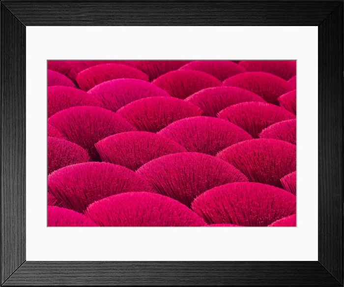 Framed Print : Incense sticks drying in the sun, Hung Yen province, Vietnam Framed Print : Incense sticks drying in the sun, Hung Yen province, Vietnam