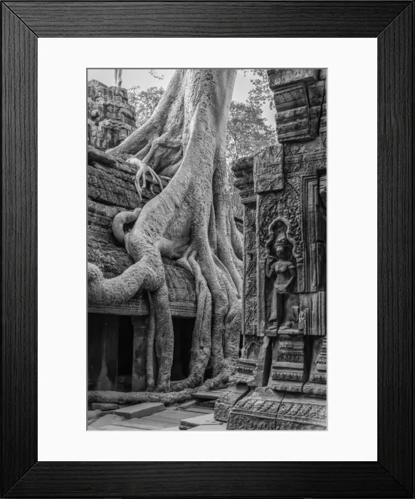 Framed Print : Asia, Cambodia, Siem Reap, UNESCO World Heritage, Angkor, Ta Prohm Framed Print : Asia, Cambodia, Siem Reap, UNESCO World Heritage, Angkor, Ta Prohm