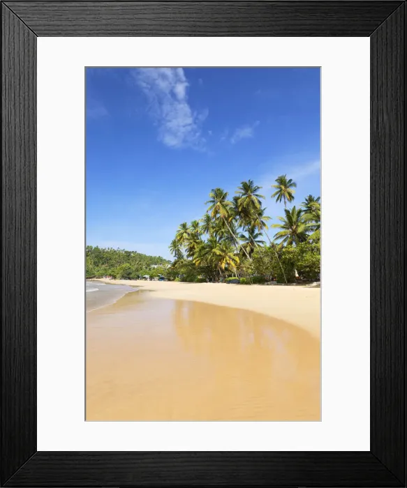 Framed Print : Mirissa beach, Southern Province, Sri Lanka Framed Print : Mirissa beach, Southern Province, Sri Lanka