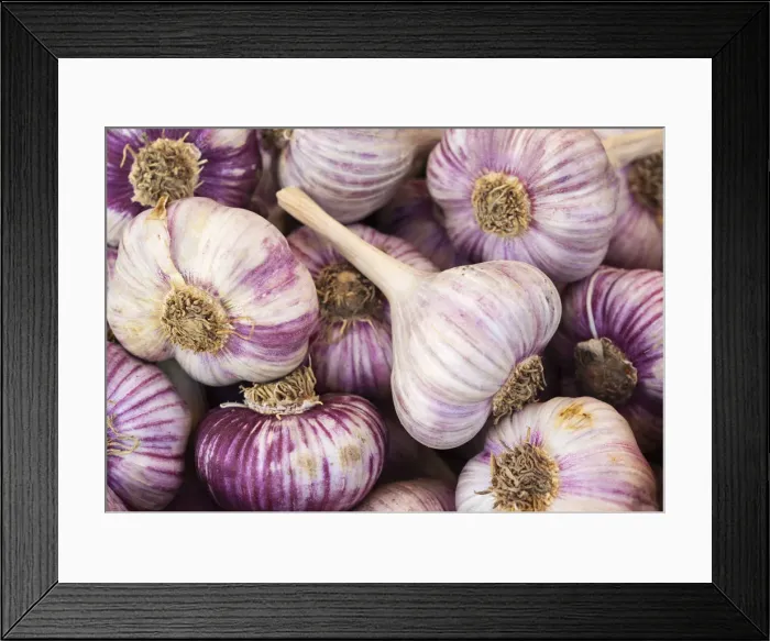 Framed Print : France, Poitou Charentes, La Rochelle, market, garlic Framed Print : France, Poitou Charentes, La Rochelle, market, garlic