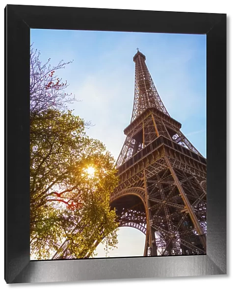 France, Paris, Eiffel Tower, sun behind tree