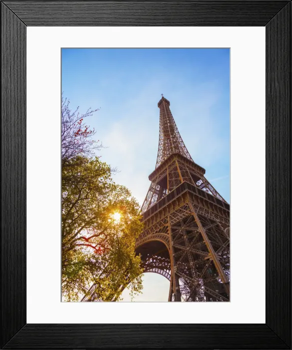 Framed Print : France, Paris, Eiffel Tower, sun behind tree Framed Print : France, Paris, Eiffel Tower, sun behind tree