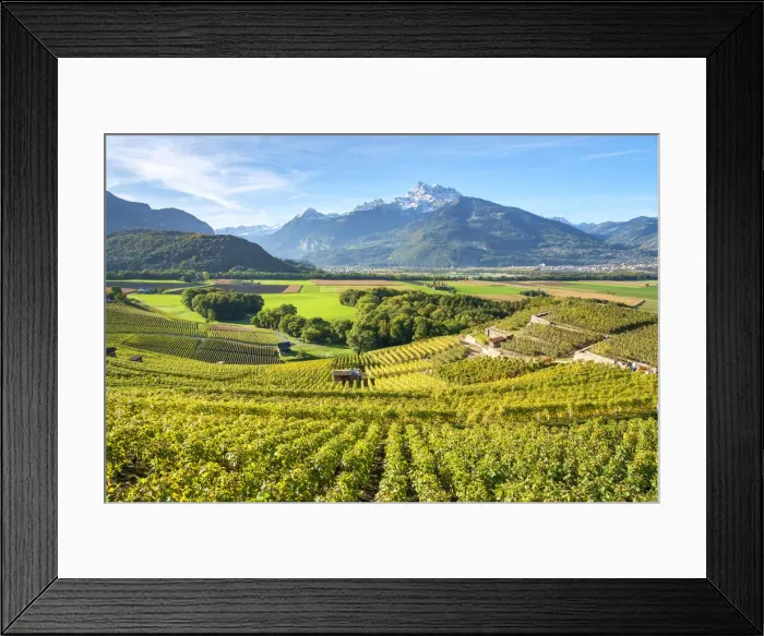 Framed Print : View vineyards and fertile Rhone near Ollon, Vaud Canton, Switzerland Framed Print : View vineyards and fertile Rhone near Ollon, Vaud Canton, Switzerland