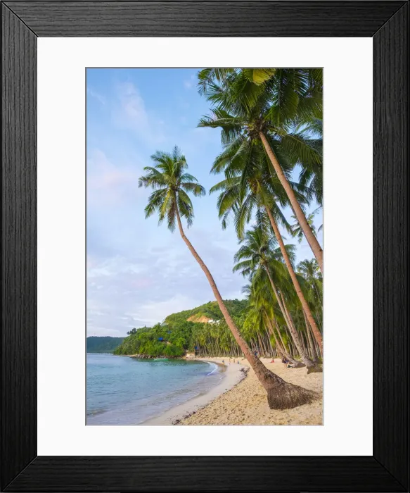 Framed Print : Palm trees on Marimegmeg Beach, El Nido, Palawan, Philippines Framed Print : Palm trees on Marimegmeg Beach, El Nido, Palawan, Philippines