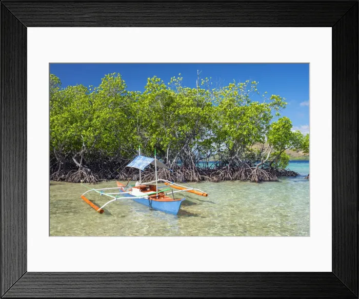 Framed Print : Small outrigger boat and mangrove trees (Rhizophora mangle) on CYC Island, Coron, Palawan