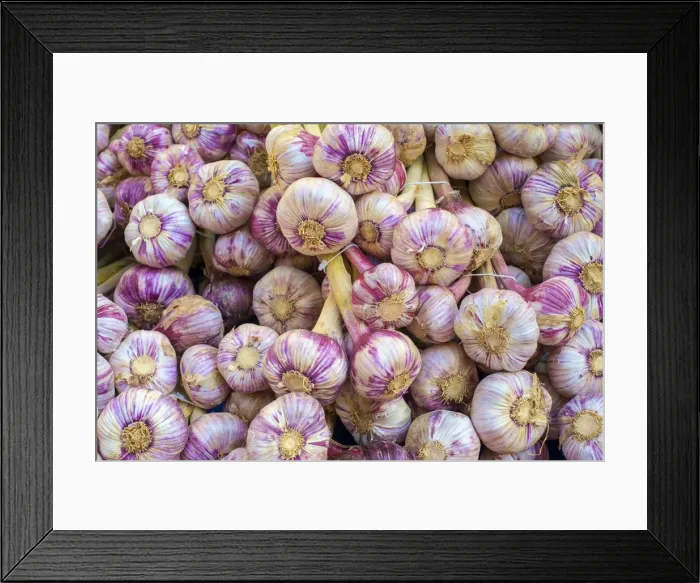 Framed Print : Garlic bulbs for sale at weekly farmers market on Place de la Liberté Framed Print : Garlic bulbs for sale at weekly farmers market on Place de la Liberté