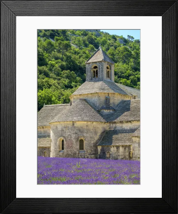Framed Print : Lavender fields in full bloom in early July in front of Abbaye de Senanque Abbey Framed Print : Lavender fields in full bloom in early July in front of Abbaye de Senanque Abbey