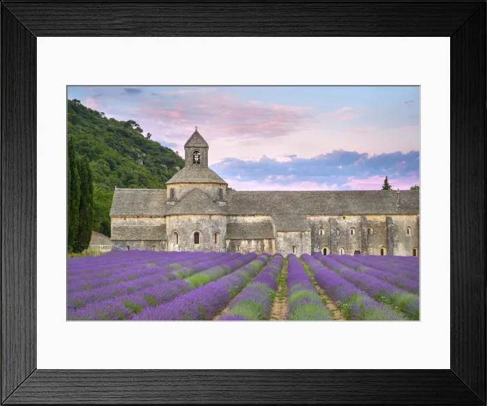 Framed Print : Lavender fields in full bloom in early July in front of Abbaye de SA nanque Abbey Framed Print : Lavender fields in full bloom in early July in front of Abbaye de SA nanque Abbey