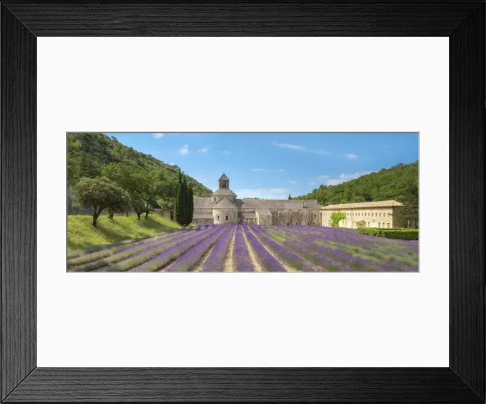 Framed Print : Lavender fields in full bloom in early July in front of Abbaye de SA nanque Abbey Framed Print : Lavender fields in full bloom in early July in front of Abbaye de SA nanque Abbey
