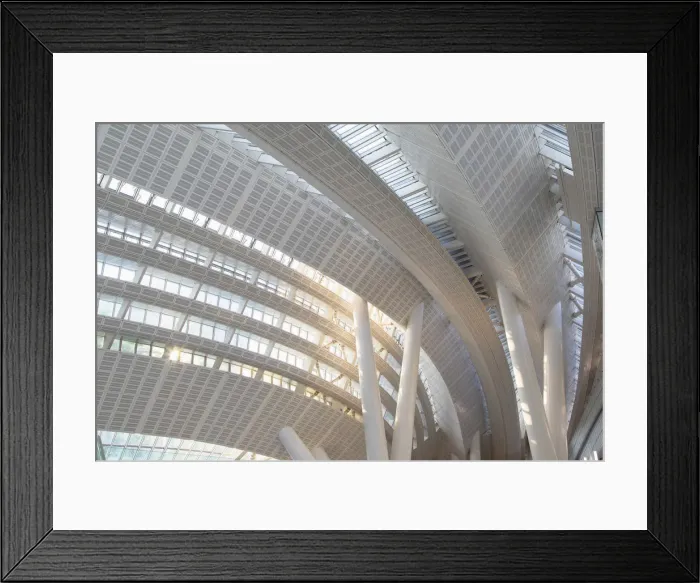 Framed Print : Interior of West Kowloon High Speed Rail Station, West Kowloon, Hong Kong Framed Print : Interior of West Kowloon High Speed Rail Station, West Kowloon, Hong Kong