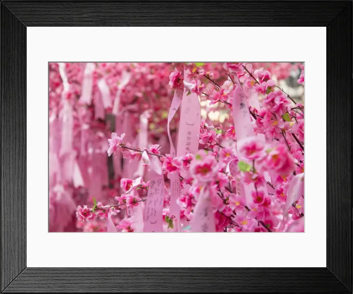 Framed Print : Prayer ribbons and blossom for Chinese New Year at Man Mo Temple, Sheung Wan, Hong Framed Print : Prayer ribbons and blossom for Chinese New Year at Man Mo Temple, Sheung Wan, Hong