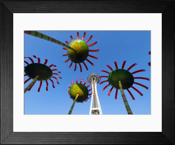 Framed Print : Sonic Bloom Installation at the Seattle Centre and Space needle, Seattle, Washington, USA