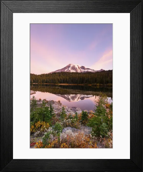 Framed Print : Mount Rainier reflecting in Reflections Lake, Mount Rainier National Park, Washington Framed Print : Mount Rainier reflecting in Reflections Lake, Mount Rainier National Park, Washington