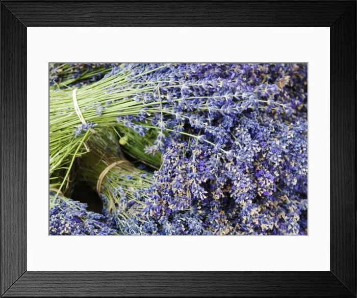 Framed Print : Lavender bundles for sale in Roussillon, Sault, Provence, France Framed Print : Lavender bundles for sale in Roussillon, Sault, Provence, France